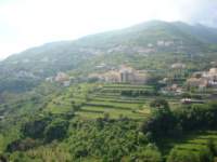 dsc01012_small.jpg