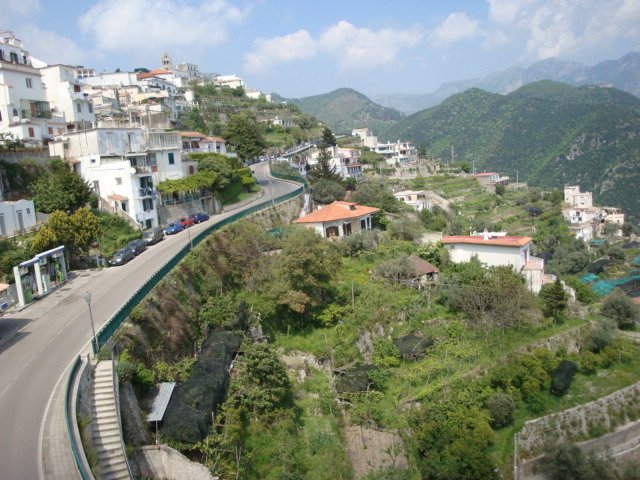 dsc01018.jpg