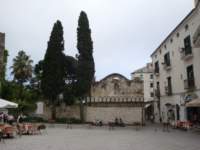 dsc01023_small.jpg