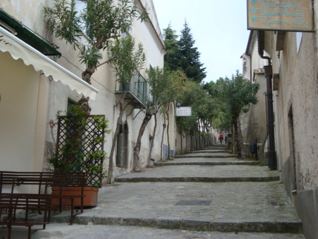 dsc01025.jpg