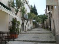 dsc01025_small.jpg