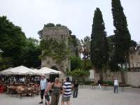 dsc01027_small.jpg
