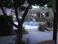 dsc01050_small.jpg