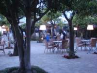 dsc01055_small.jpg