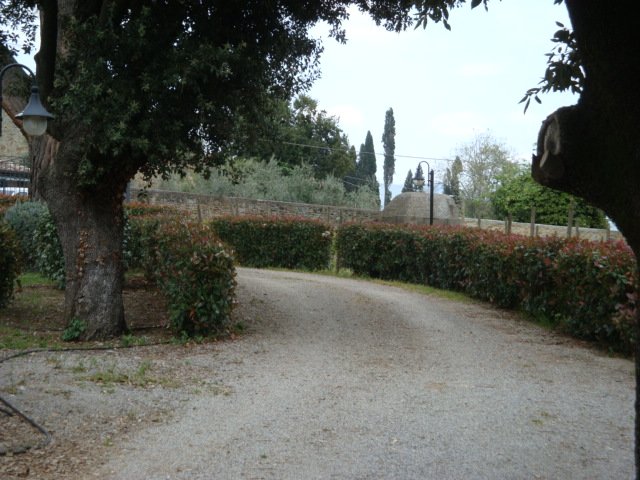 dsc01074.jpg