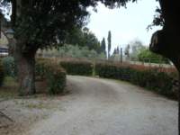 dsc01074_small.jpg