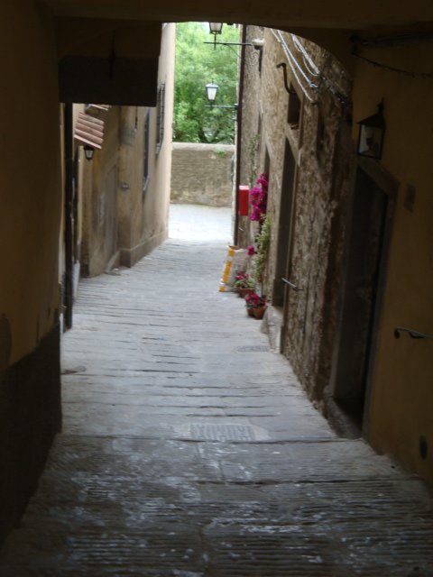 dsc01085.jpg