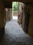 dsc01085_small.jpg