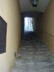 dsc01087_small.jpg