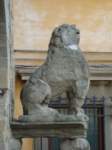 dsc01095_small.jpg