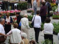 dsc01096_small.jpg