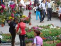 dsc01097_small.jpg