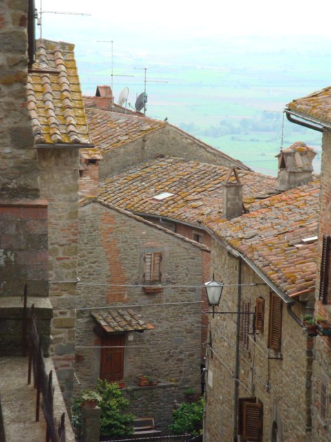 dsc01111.jpg