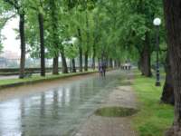 dsc01131_small.jpg