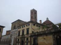 dsc01142_small.jpg