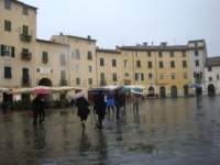 dsc01167_small.jpg