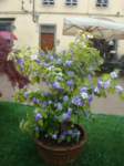 dsc01178_small.jpg