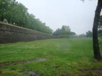 dsc01180_small.jpg