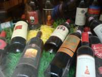 dsc01193_small.jpg
