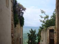 dsc01197_small.jpg