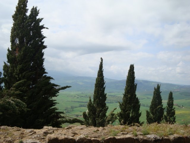 dsc01204.jpg