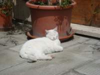 dsc01208_small.jpg
