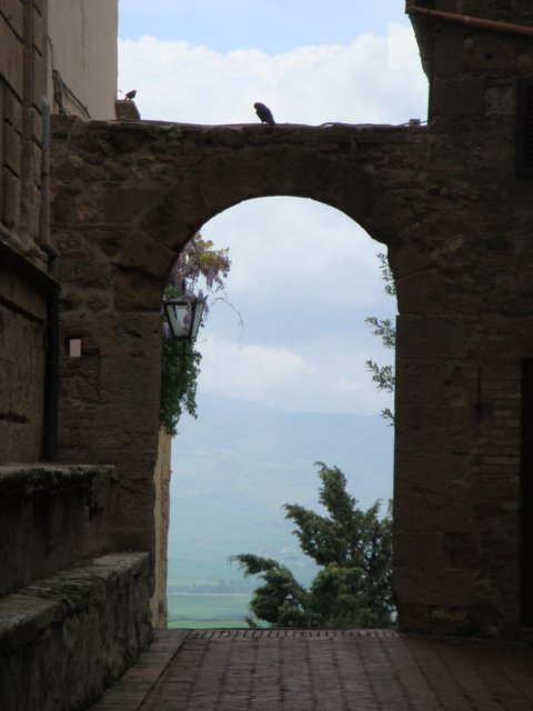 dsc01215.jpg