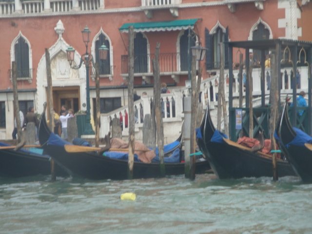 dsc01517.jpg