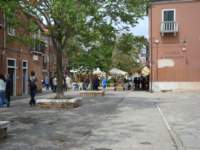 dsc01520_small.jpg