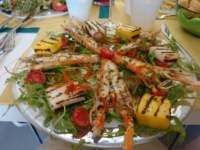 dsc01527_small.jpg