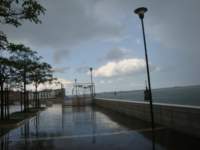 dsc01536_small.jpg