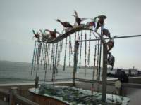 dsc01540_small.jpg