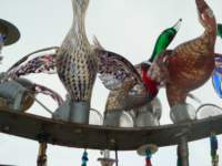 dsc01544_small.jpg