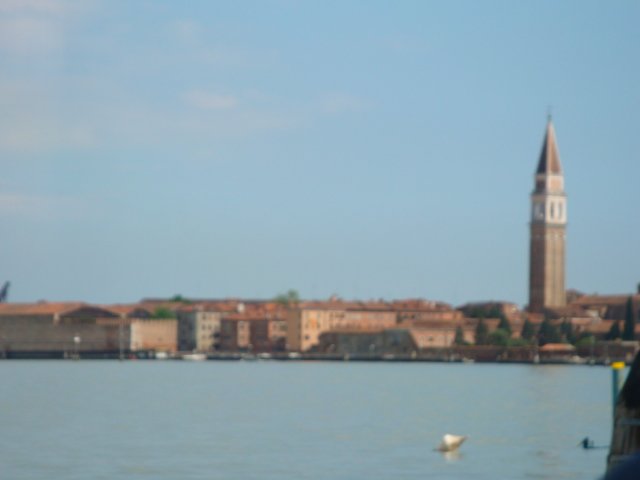 dsc01546.jpg