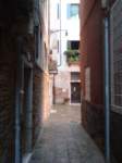 dsc01559_small.jpg