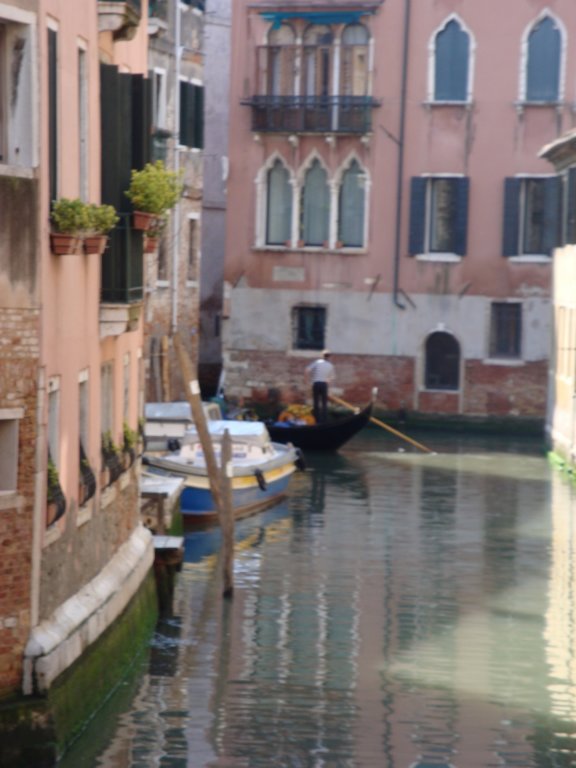 dsc01561.jpg