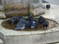 dsc01574_small.jpg