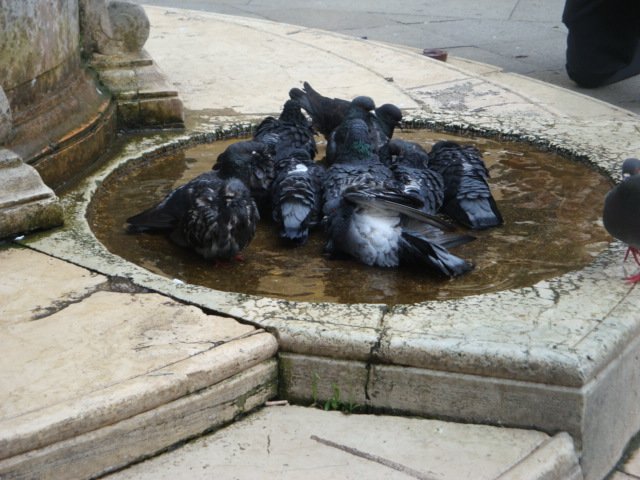 dsc01575.jpg
