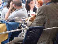 dsc01595_small.jpg