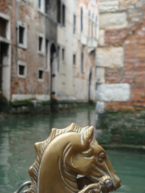 dsc01603.jpg