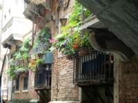 dsc01607_small.jpg