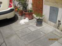 img_0325_small.jpg
