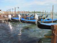 img_0356_small.jpg