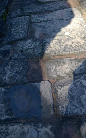 wp_20181025_08_59_22_panorama.jpg