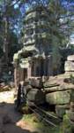 wp_20181025_10_25_07_rich_small.jpg