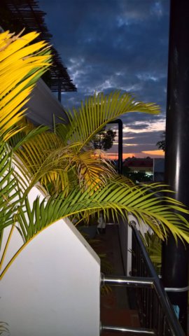 wp_20181027_18_00_51_rich.jpg