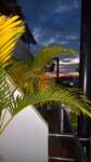 wp_20181027_18_00_51_rich_small.jpg