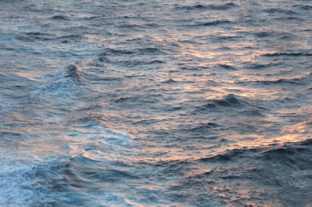 dscf3866.jpg