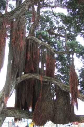 dscf3943.jpg