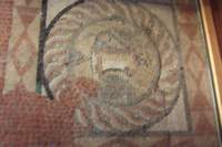 dscf4104_small.jpg
